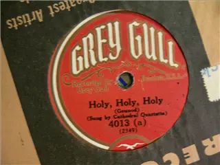 small_grey gull 4013 a.webp